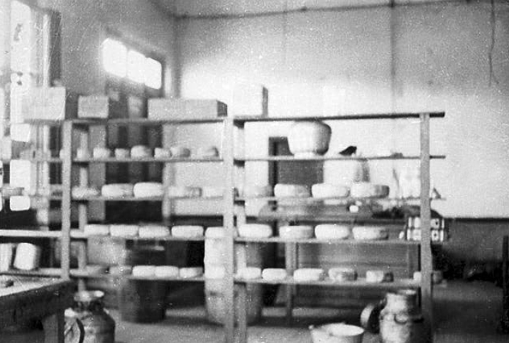 The Gomfrish family cheese production dairy, Entre Rios, Argentina, 1934 (Beth Hatefutsoth, Photo Archive, courtesy of Zusy Kimelshtil, Israel)