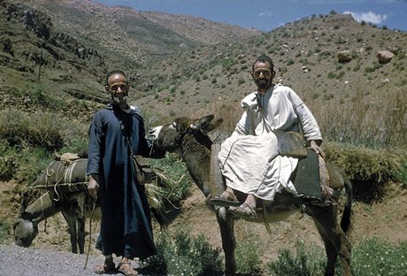 Peddlers near Tagounit, Anti-Atlas (northern Sahara), Morocco 1958. Photo: Elias Harrus. Beit Hatfutsot, the Oster Visual Documentation Center, Elias Harrus Collection