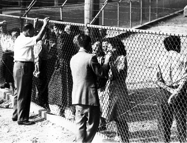 פליטים יהודים מאירופה במחנה אוסווגו, מדינת ניו יורק, ארה"ב 1944 (צילום: לני זוננפלד, בית התפוצות, המרכז לתיעוד חזותי ע"ש אוסטר, אוסף זוננפלד)