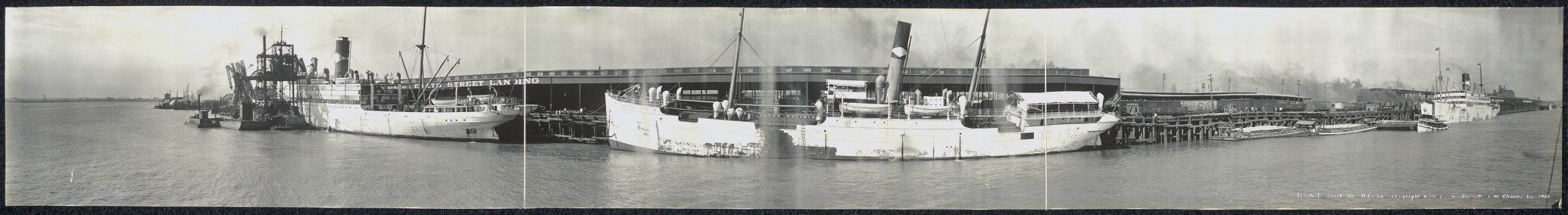 צילום פנורמי של ספינות משא של חברת הפירות הלאומית של סם זמוריי, ניו אורלינס, 1910 (צילום: א. ל. ברנט, ספריית הקונגרס האמריקאי, ויקיפדיה)