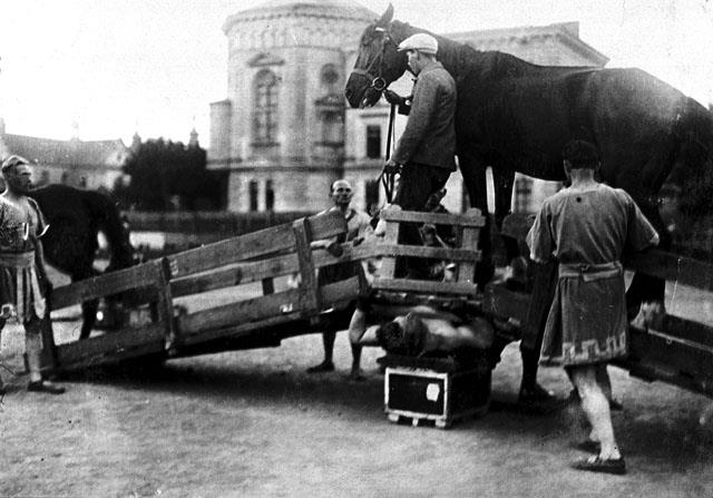 Zishe Breitbart, under the cart, performing with a horse, at the Maccabi sports ground, Krakow, Poland, early 1920's. Photo: Ze’ev Aleksandrowicz, the Oster Visual Documentation Center, ANU – Museum of the Jewish People, courtesy of the Ze’ev Aleksandrowicz family, Israel