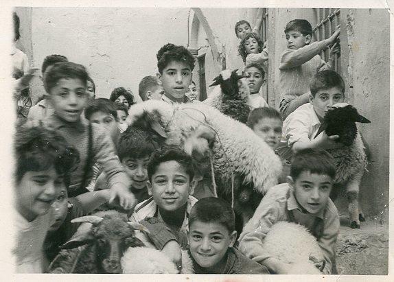 The children of the Jewish quarter enjoying the purchase of the lamb for Passover, Tripoli, Libya, 1945-1948 (The Oster Visual Documentation Center, ANU - Museum of the Jewish people, courtesy of Pedazur Benattia, Israel)