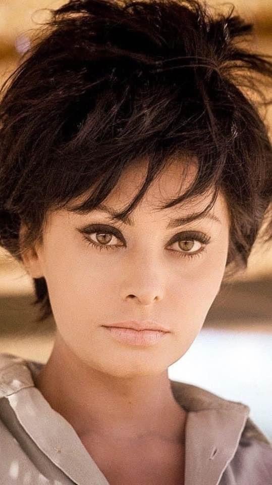 Sophia Loren as "Judith" (Photographed by BOB PENN @ Paramount Pictures & Screenlife Est thanks to Daniel Unger)