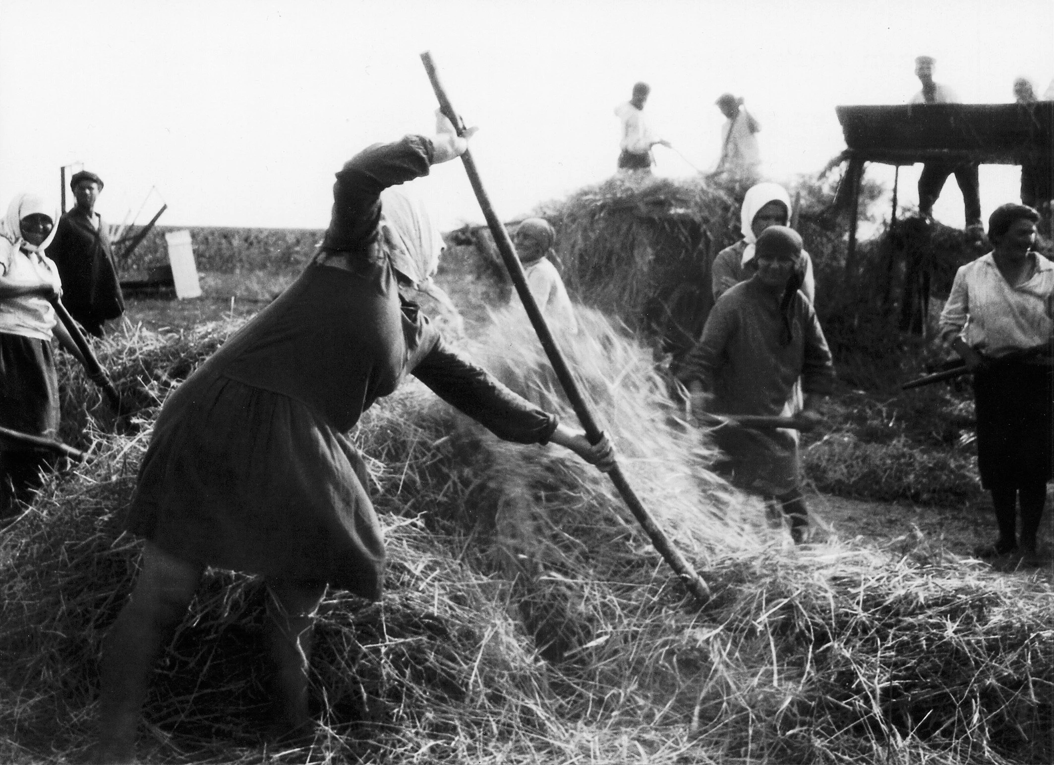 דיש בשדות מושבה חקלאית יהודית ברית המועצות, 1930 בקירוב ארכיון הג'וינט, ניו יורק